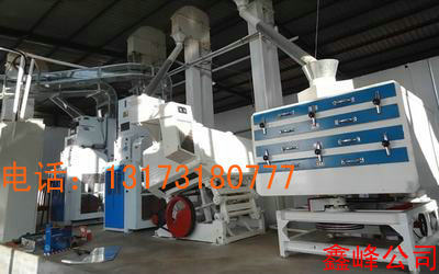 ws100ZƷۙCMa
